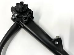 Video Transnasal Gastroscope｜EG-580NW｜Fujifilm Medical photo2