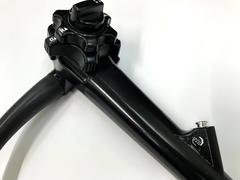 Video Transnasal Gastroscope｜EG-580NW｜Fujifilm Medical photo2