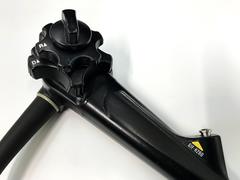 Video Gastroscope｜GIF-H260｜Olympus Medical Systems photo2