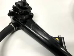 Video Gastroscope｜GIF-H260｜Olympus Medical Systems photo2