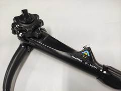Video Colonoscope｜EC-L600ZP7｜Fujifilm Medical photo2
