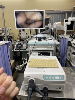 内視鏡光源プロセッサ｜EPX-3010｜富士フイルムメディカルの写真2枚目