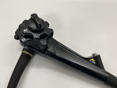Video Gastroscope｜GIF-H260｜Olympus Medical Systems photo2