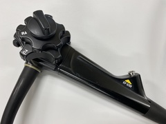 Video Gastroscope｜GIF-Q260｜Olympus Medical Systems photo2