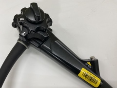 Video Gastroscope｜GIF-H260｜Olympus Medical Systems photo2