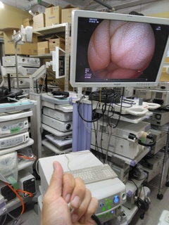 光源装置｜LL-4450｜富士フイルムメディカルの写真3枚目