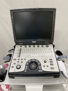 Ultrasound system(Color)｜LOGIQ e Expert｜GE Healthcare photo3