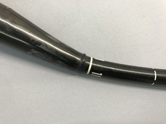 Video Gastroscope｜GIF-2T200｜Olympus Medical Systems photo4