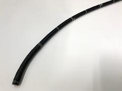 Video Gastroscope｜GIF-H260｜Olympus Medical Systems photo4