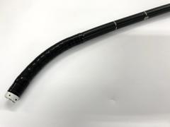 Video Gastroscope｜GIF-2T240｜Olympus Medical Systems photo4