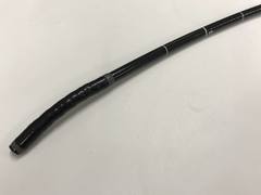 Video Gastroscope｜GIF-H260｜Olympus Medical Systems photo4