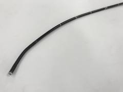 Video Transnasal Gastroscope｜GIF-XP150N｜Olympus Medical Systems photo4
