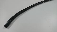 Video Gastroscope｜GIF-Q240Z｜Olympus Medical Systems photo4