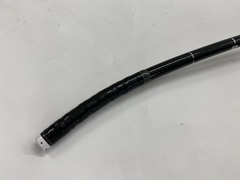 Video Gastroscope｜GIF-2T240｜Olympus Medical Systems photo4