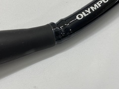 Video Gastroscope｜GIF-H260｜Olympus Medical Systems photo4
