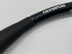 Video Gastroscope｜GIF-H260｜Olympus Medical Systems photo4