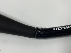 Video Gastroscope｜GIF-H290｜Olympus Medical Systems photo4