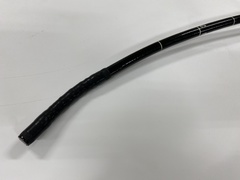 Video Gastroscope｜GIF-Q240｜Olympus Medical Systems photo4