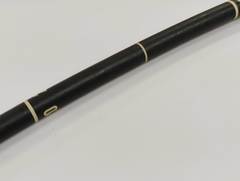 Video Gastroscope｜GIF-P140｜Olympus Medical Systems photo5