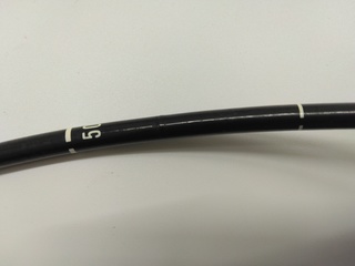 Video Transnasal Gastroscope｜GIF-XP260N｜Olympus Medical Systems photo5