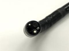 Video Gastroscope｜GIF-H260｜Olympus Medical Systems photo6