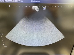 Ultrasound system｜Aplio 300 TUS−A300｜Canon Medical Systems photo6