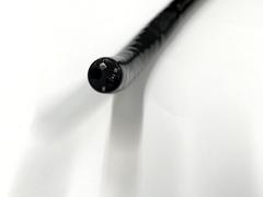 Video Gastroscope｜EG-590WR2｜Fujifilm Medical photo7
