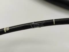 Video Transnasal Gastroscope｜EG-L580NW｜Fujifilm Medical photo8