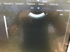 Ultrasound system(Color)｜HI VISION 900｜Hitachi Medical photo2