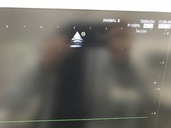 Ultrasound system(Color)｜HI VISION Avius｜Hitachi photo20